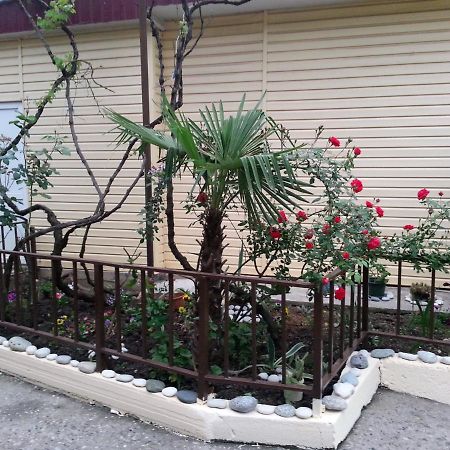 Orhidea Guest House Gagra Exteriér fotografie